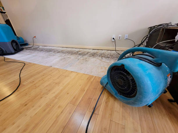 Professional Structural Drying technician working in Greenwood, NE